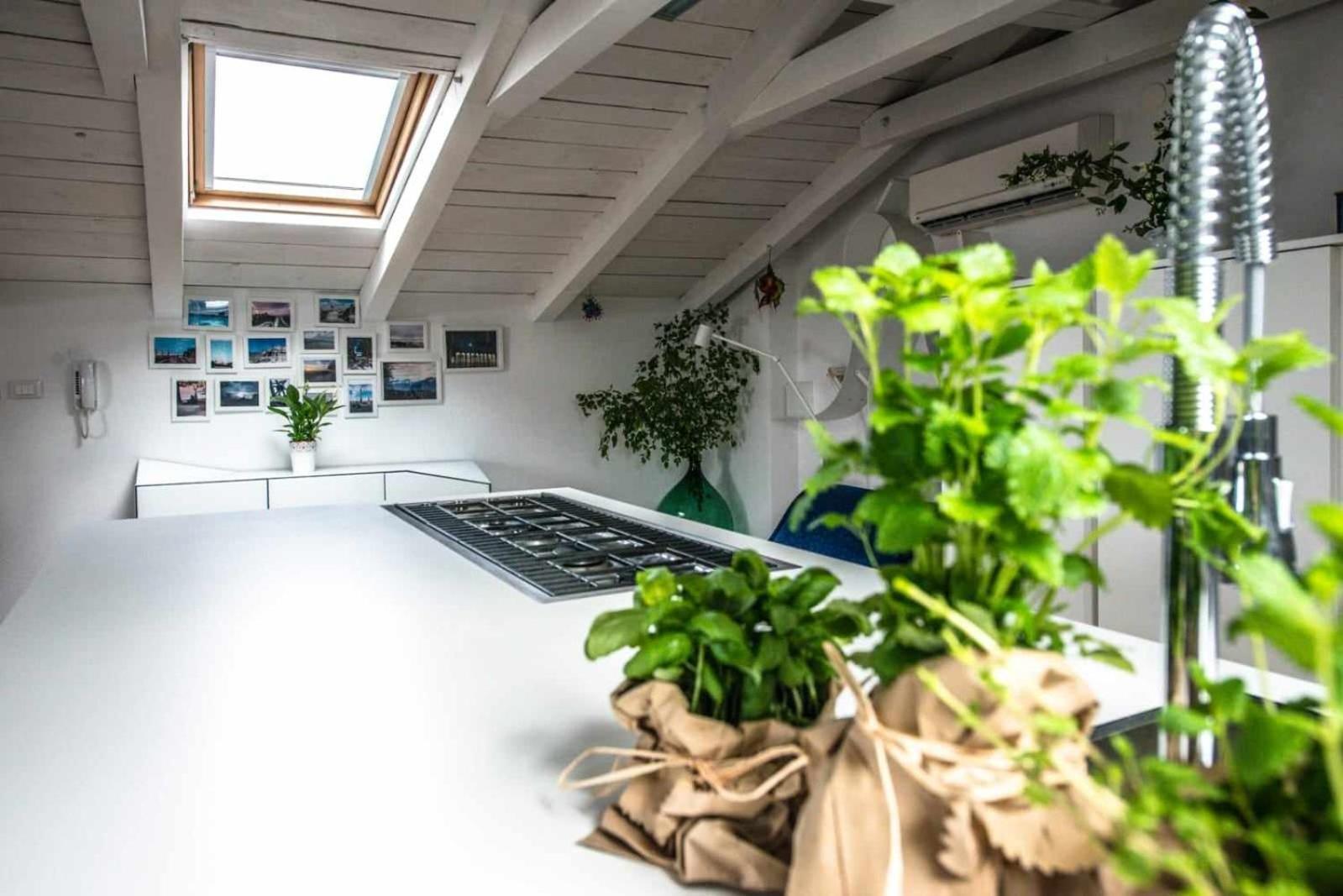 Beautiful Sunsets Over The Roofs Of Rovinj Apartment Bagian luar foto